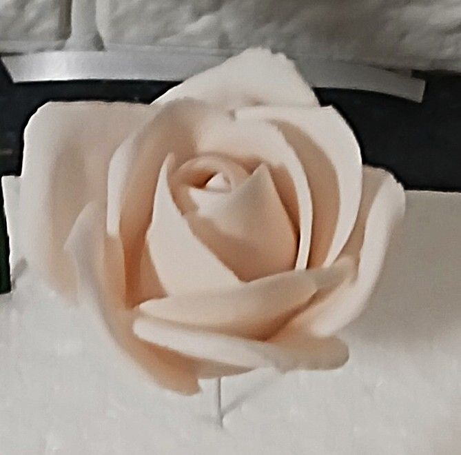 Drótos cukorrózsa 4 cm]