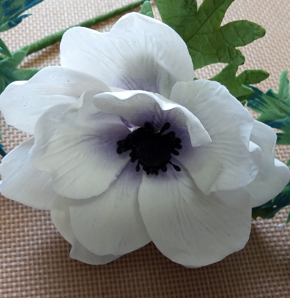 Drótos cukorszellőrózsa nagy 10 cm]