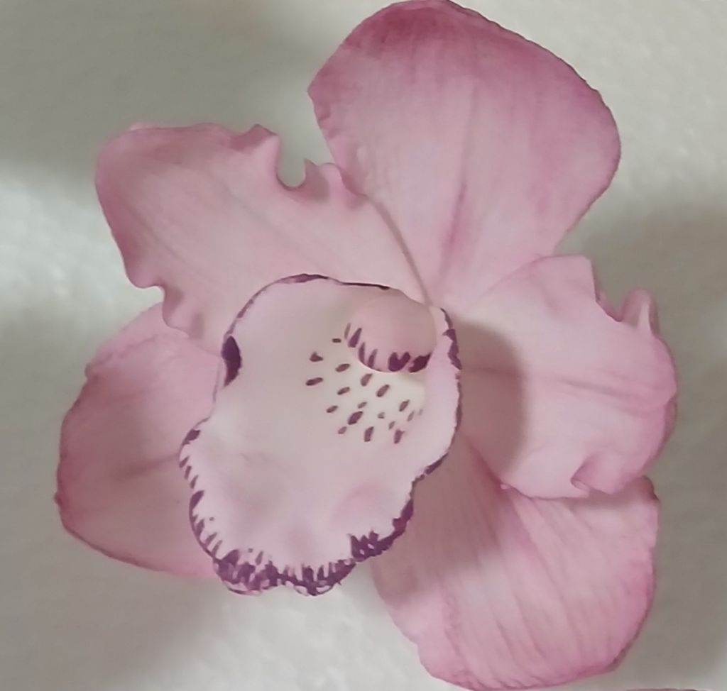 Drótos cukororchidea - rózsaszín 8 cm]