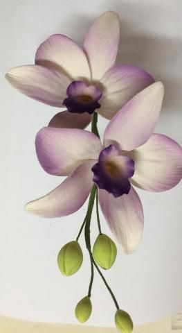 Trópusiorchidea-csokor]