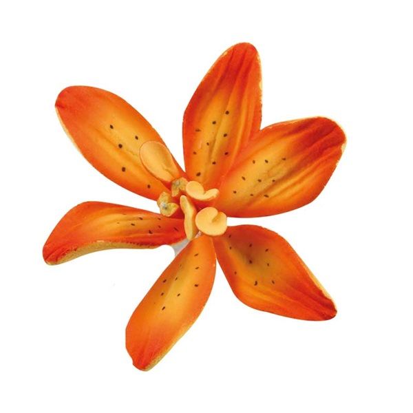Leman liliom cukorvirág 4,5 cm]